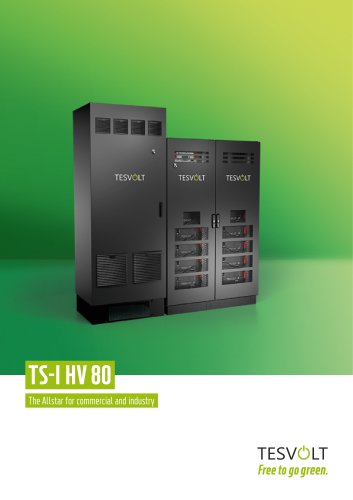 TS-I HV 80