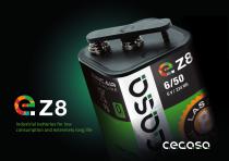 ZINC AIR ALKALINE