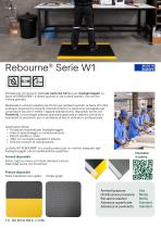 REBOURNE® Catalogue IT-13