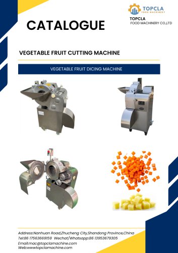 VEGETABLE FRUIT DICING MACHINE