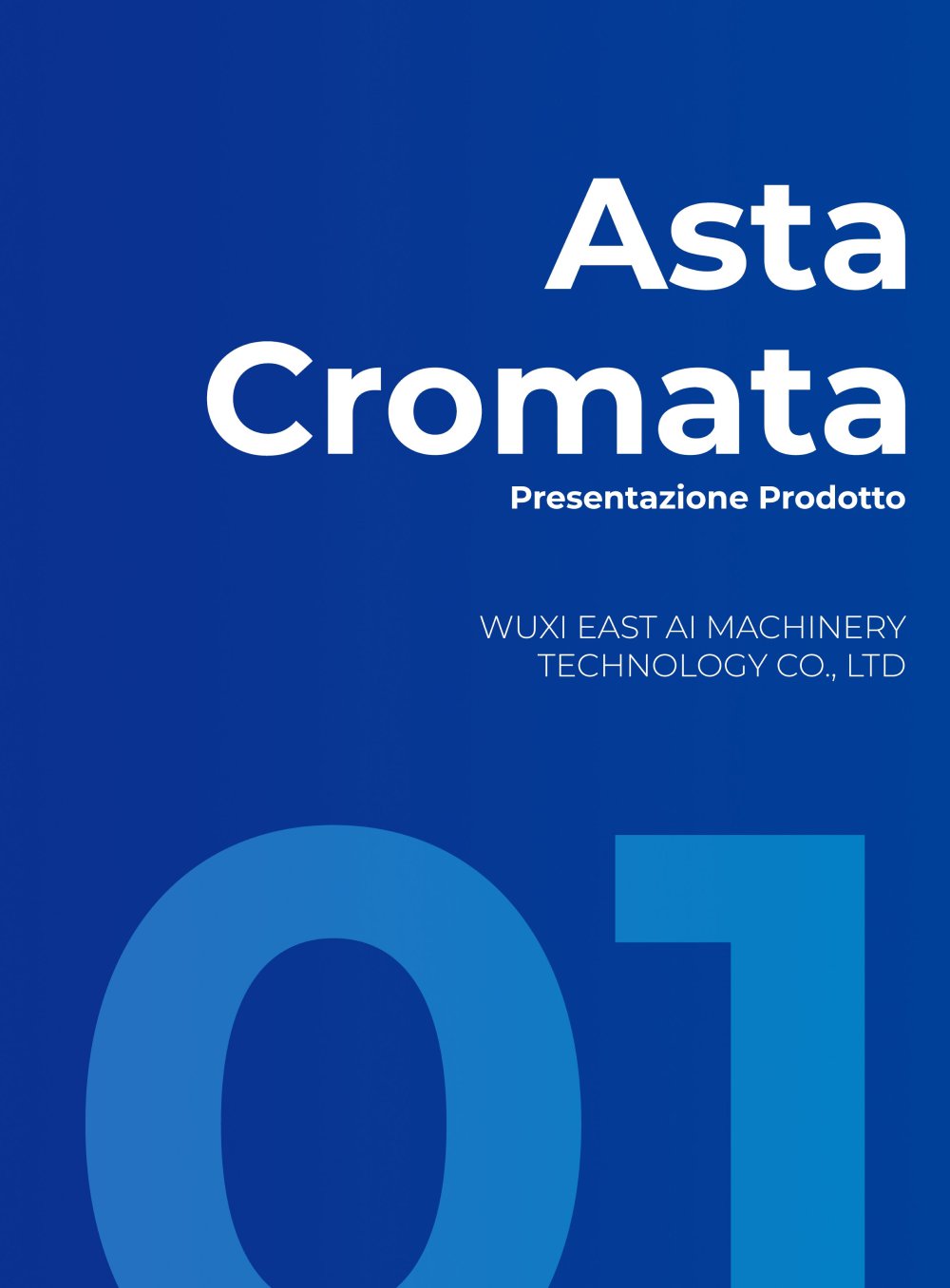 Asta del pistone idraulico - WUXI EAST AI MACHINERY CO., LTD