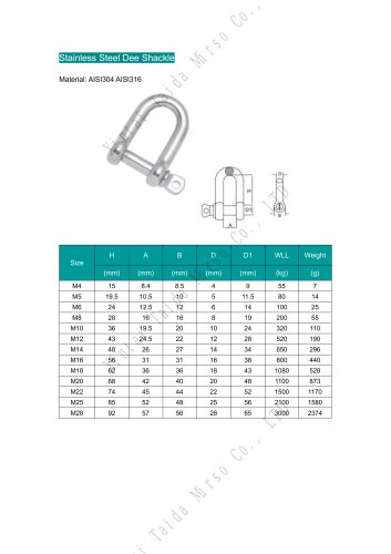 Stainless Steel Shackle