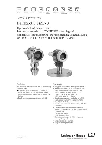 Deltapilot S FMB70