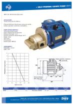 Self priming gears pump Fuel-Oil: JEV71