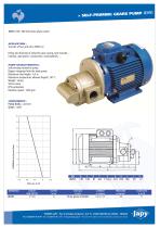 Self priming gears pump Fuel-Oil: JEV91