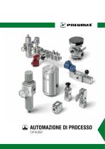 AUTOMAZIONE DI PROCESSO