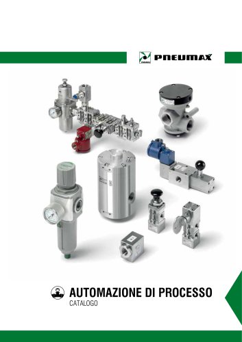 AUTOMAZIONE DI PROCESSO