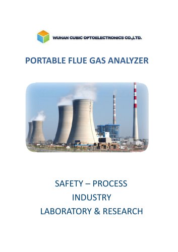 Portable infrared Flue Gas Analyzer Gasboard 3800P