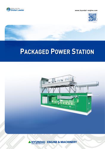 Packaged Power Station