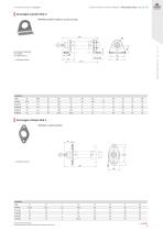 Attuazione pneumatica - 11