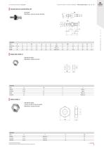 Attuazione pneumatica - 13