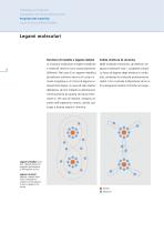 BIOLOX®delta – La nuova ceramica nanocomposita per le artroprotesi - 6