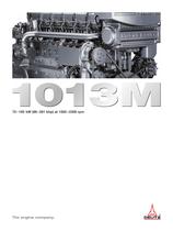 1013M The marine engine