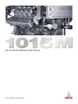 1015M The marine engine