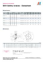 BXH Model datasheet