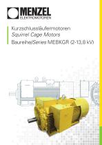 MEBKGR Series - High voltage 2-13,8kV