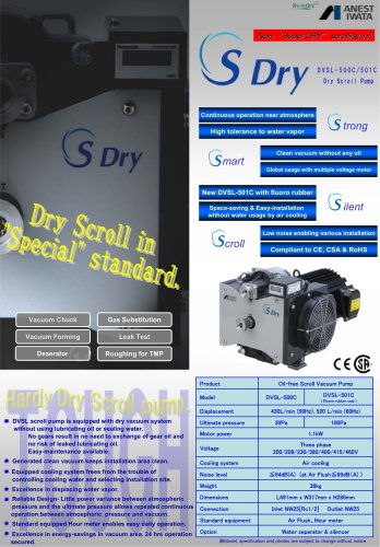 Dry vacuum pumps