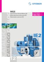 MGS AC Geared Motors IE2