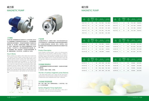 magnetic pump (2)