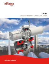 Trunnion-Mounted Control Ball Valve