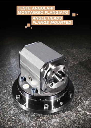 Angle heads flange mounted