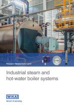 Industrial steam and hot-water boiler systems