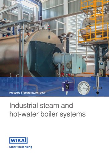 Industrial steam and hot-water boiler systems