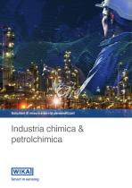 Soluzioni di misura e servizi personalizzati Industria chimica & petrolchimica - 1