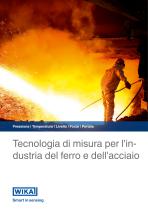 Tecnologia di misura per l'industria del ferro e dell'acciaio