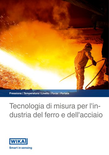 Tecnologia di misura per l'industria del ferro e dell'acciaio