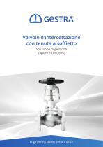 Valvole d'intercettazione con tenuta a soffi etto - 1