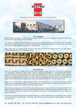 safety relief valve - 2