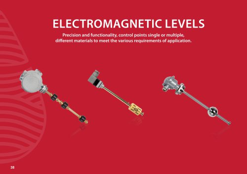 ELECTROMAGNETIC LEVELS 2024