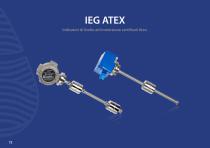 IEG ATEX - 1