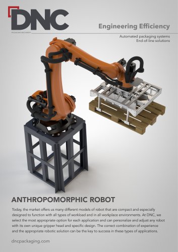 ANTHROPOMORPHIC ROBOT