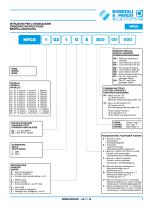 Servocomandi a un assi (azionamento a leva) - HPCS - 7