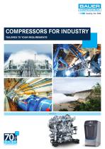 COMPRESSORS FOR INDUSTRY