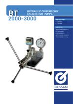 BT 2000-3000 HYDRAULIC COMPARISON CALIBRATION PUMPS