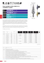 FRESE A GRADINI-11