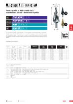 FRESE A GRADINI-14