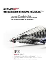FRESE A GRADINI-3