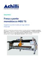 Monoblock bridge saw MBS TS