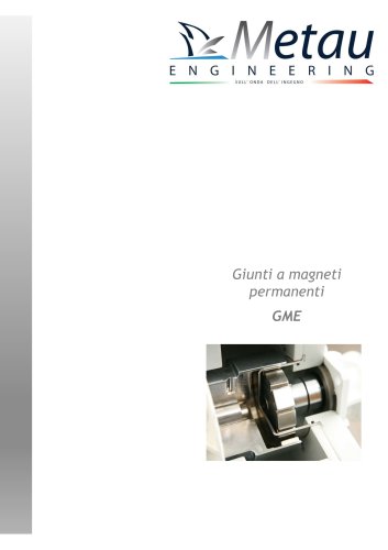 Giunto magnetico