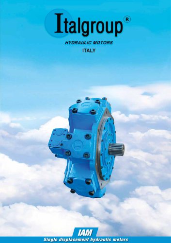 IAM Series - Single Displacement Hydraulic Motor