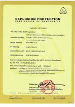 NEPSI Flame proof certificate -DMP305X