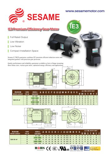 AC Electric Gearmotor, IE3, Parallel-Shaft, 750W-2.2kW