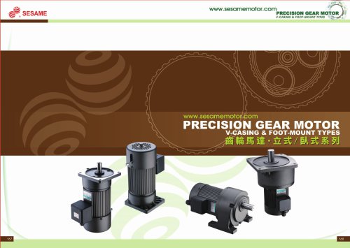 Precision Gear Motor Catalog