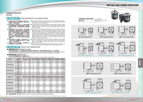 TORQUE MOTOR