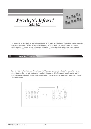 Pyroelectric Infrared Sensor