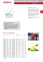 Piattaforme Elevatrici 2017 - 11